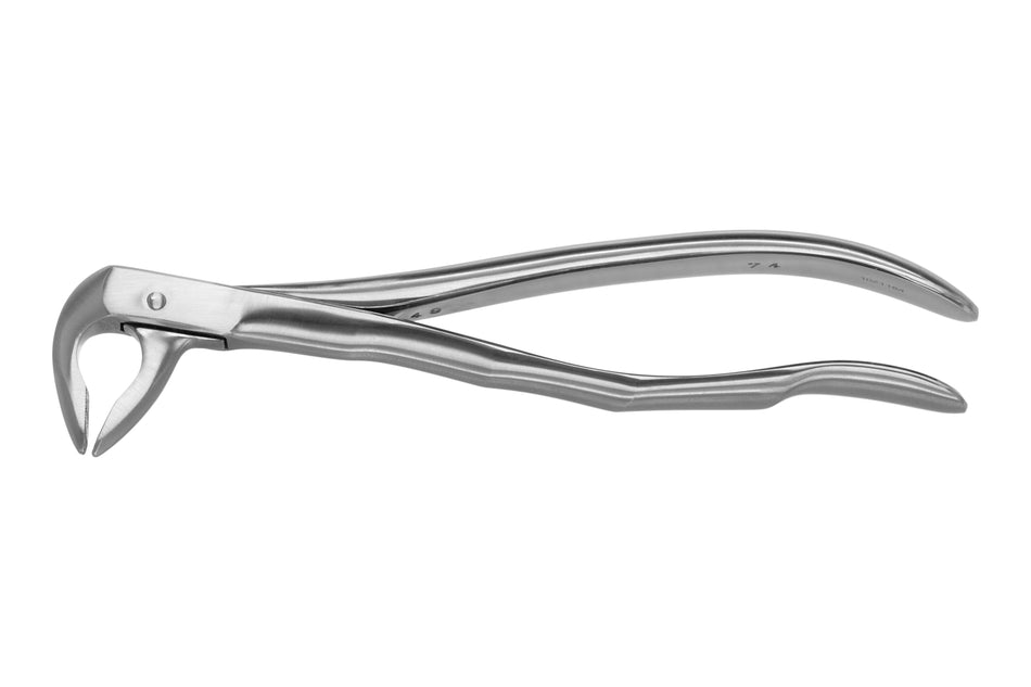 Mandibular pincers root