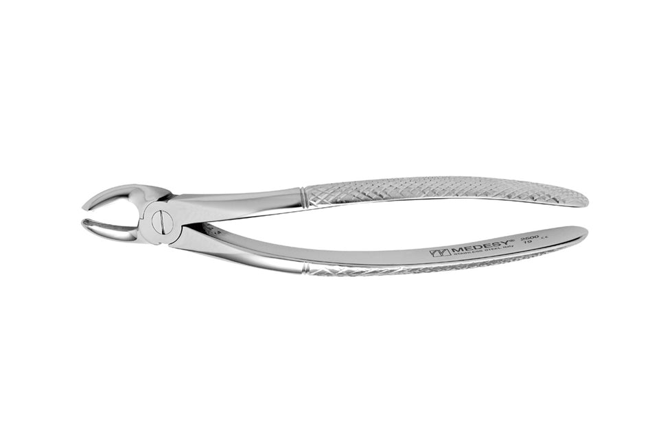 Upper jaw molar & third molar