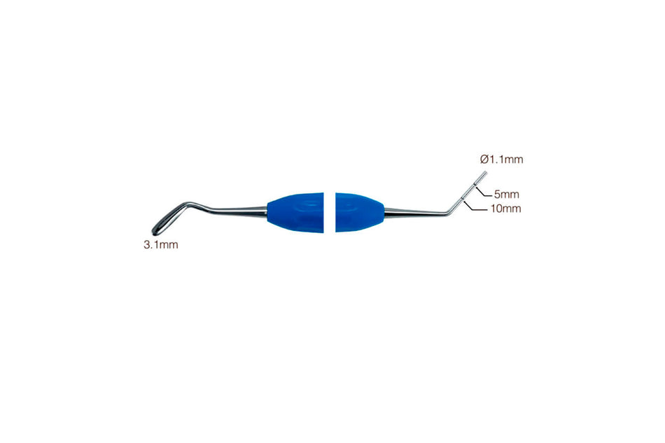 Root canal plug Glick1.