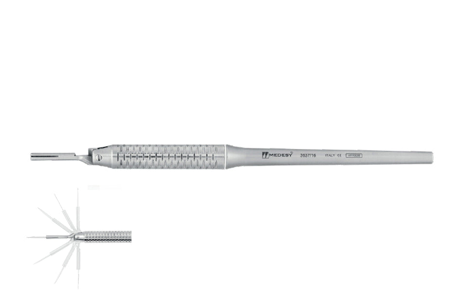 Blade holder with rotatable head