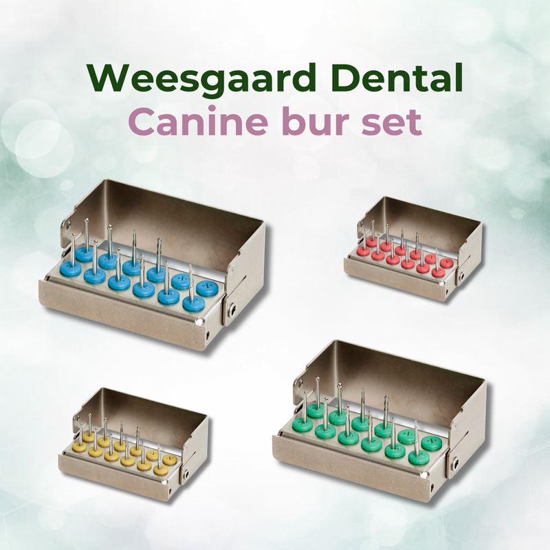 Weesgaard canine bur set