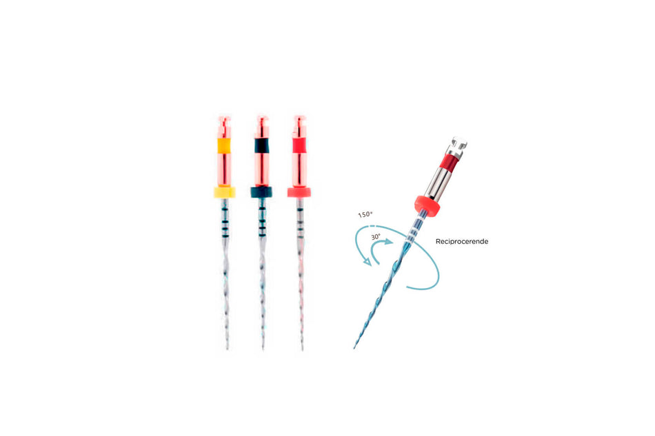 Only One file' Reciprocating file system (Blue), pack of 6.