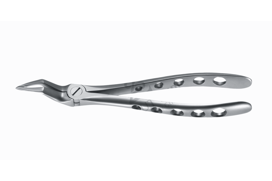 RoBa extraction forceps root fragment