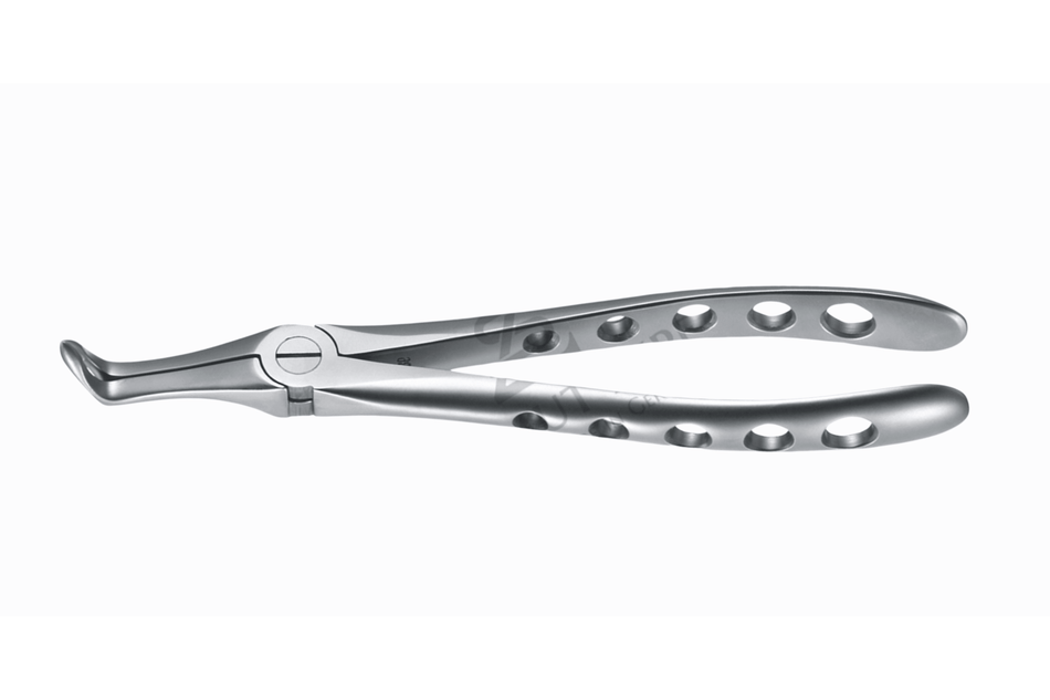 RoBa Extraction forceps root fragment