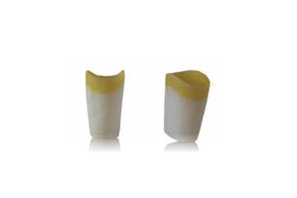 4D training teeth and educational models: Tooth 45
