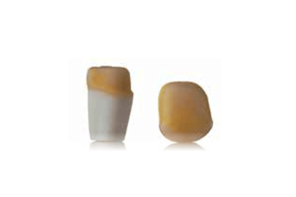 4D training teeth and educational models: Tooth 26