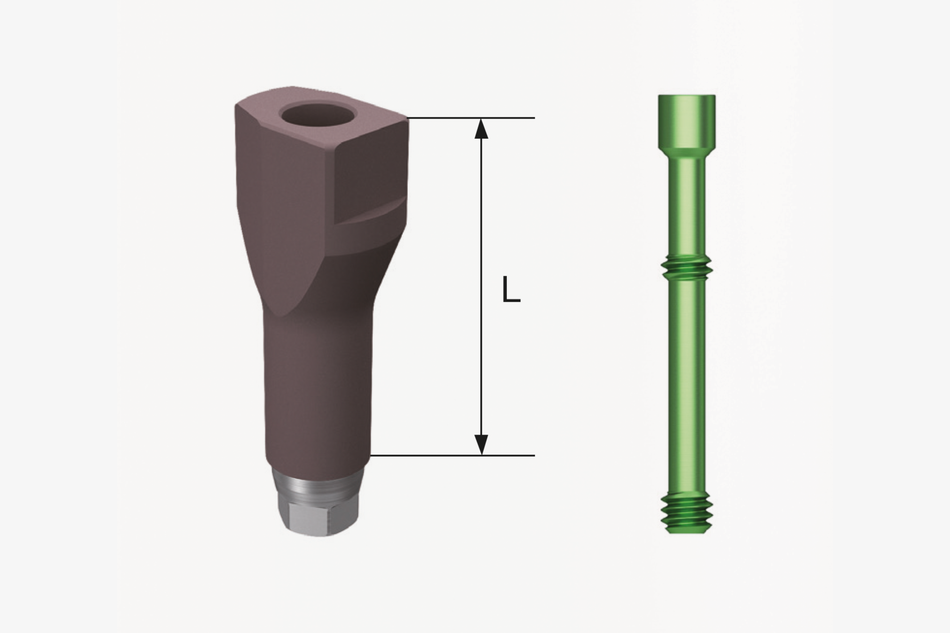 TS Scan Body 8 mm Regular