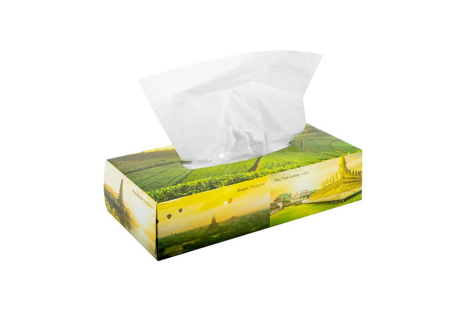 Facial and cosmetic tissues, pack of 48 × 100 pcs