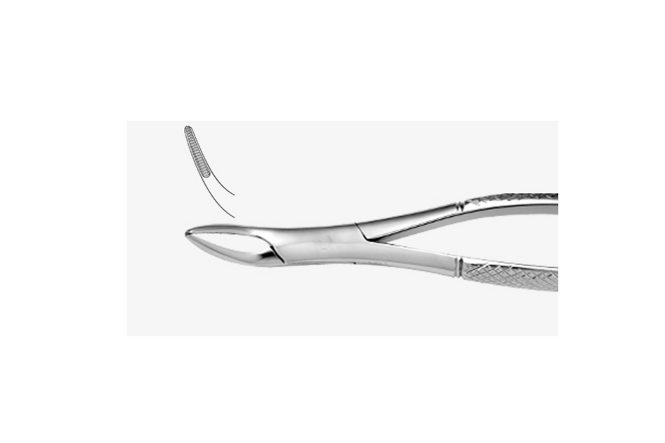 Universal root extraction forceps